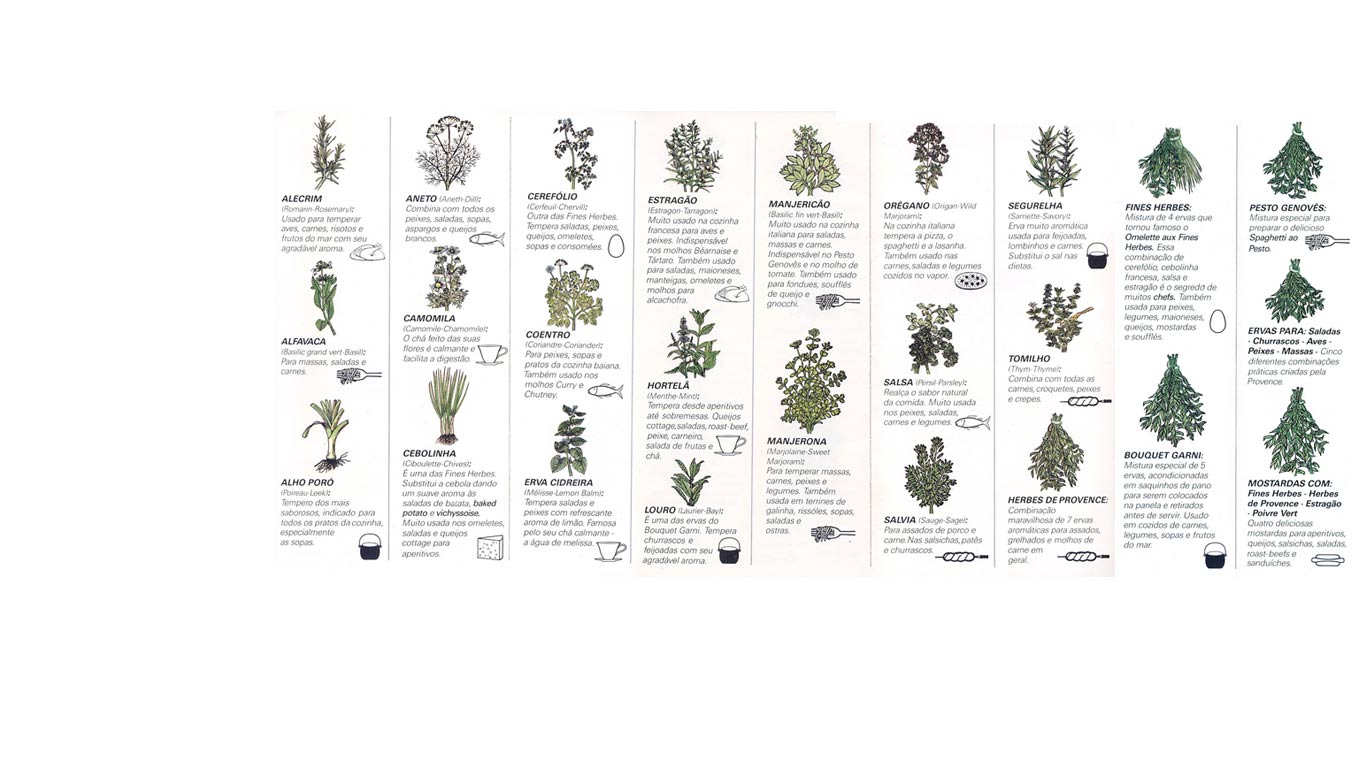 Imagem 1 da coleção